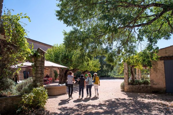 Séjour Gourmand, Art et Vin en Provence (2 jours 1 nuit 1/2 pension)