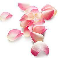Pétales de roses